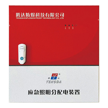 集中电源集中控制型应急照明分配电装置(A型)