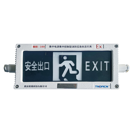 集中电源集中控制型消防应急标志灯具(A型)(防爆标志灯IIC, tD)