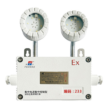 集中控制型消防应急照明灯具(A型)(防爆应急灯IIC, tD)