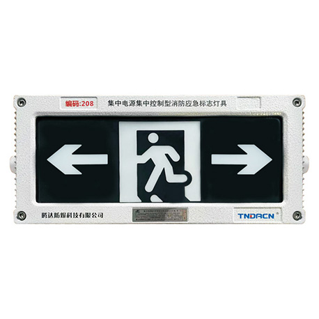 集中电源集中控制型消防应急标志灯具(A型)(应急疏散指示灯IP66)