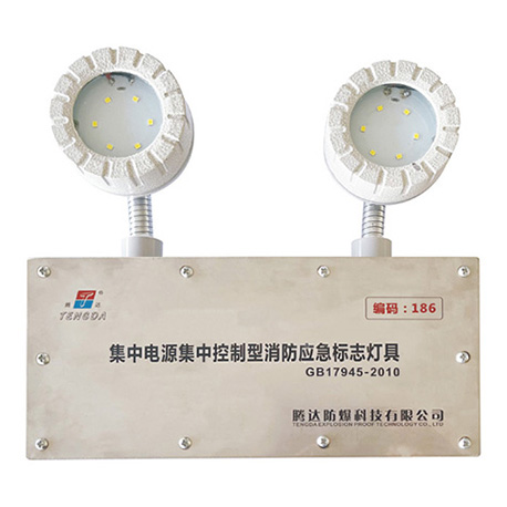 集中电源集中控制型消防应急照明灯具(A型)(应急照明灯IP66)