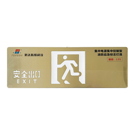集中电源集中控制型消防应急标志灯具(A型)(应急疏散指示灯IP30)