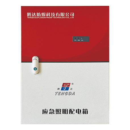 集中控制型应急照明配电箱(A型)(照明配电箱IP33)