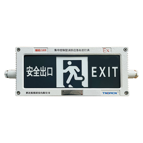 集中控制型消防应急标志灯具(A型)(防爆标志灯IIC, tD)