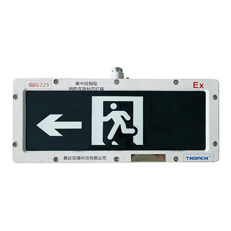 集中控制型消防应急标志灯具(A型)(防爆标志灯IIC, tD)