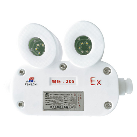 集中控制型消防应急照明灯具(A型)(应急照明灯IP66)
