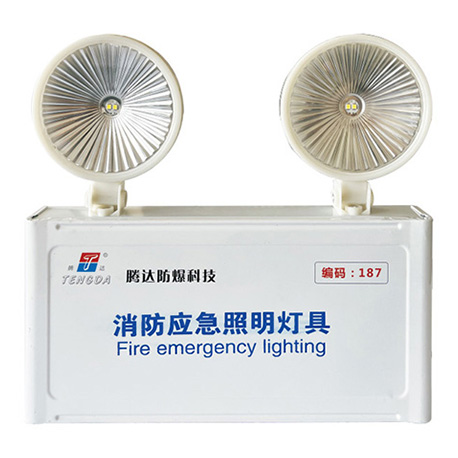 集中控制型消防应急照明灯具(A型)(应急照明灯IP66)